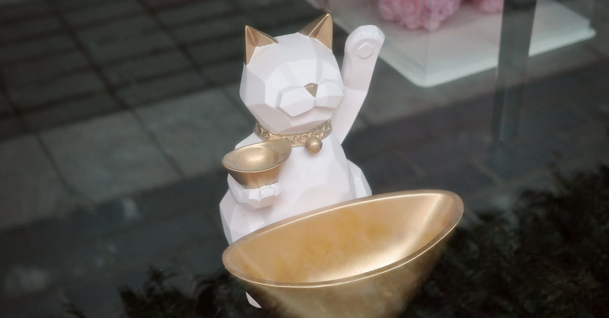 Common Mistakes to Avoid When Installing Glass Windows