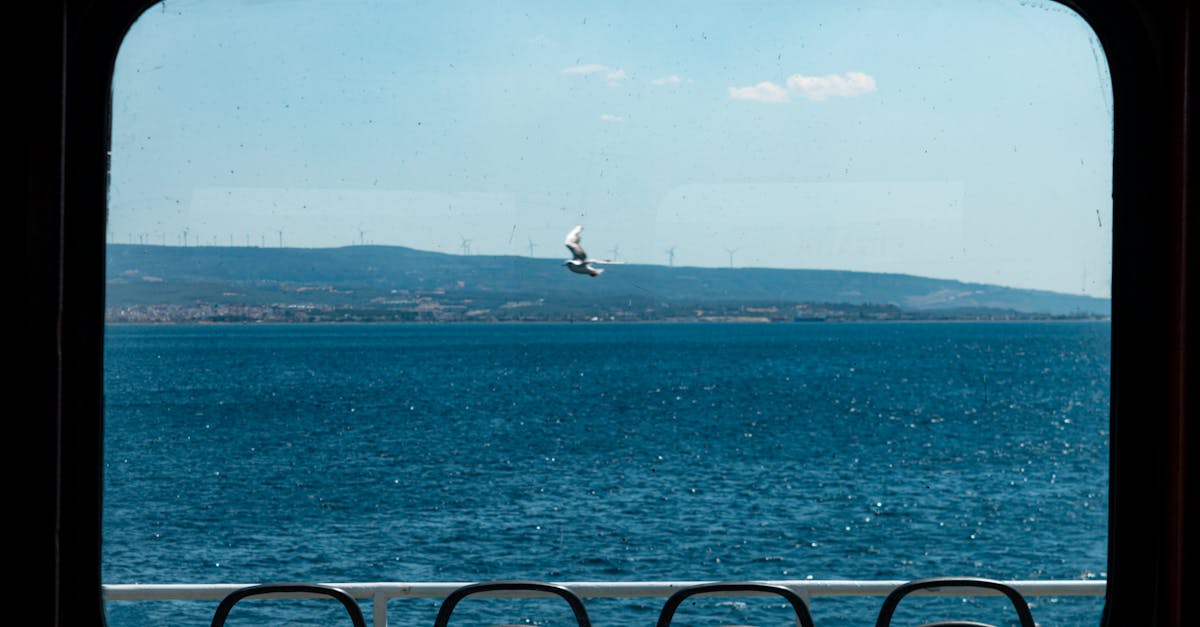 Comparing Traditional and Contemporary Decorative Glass Designs