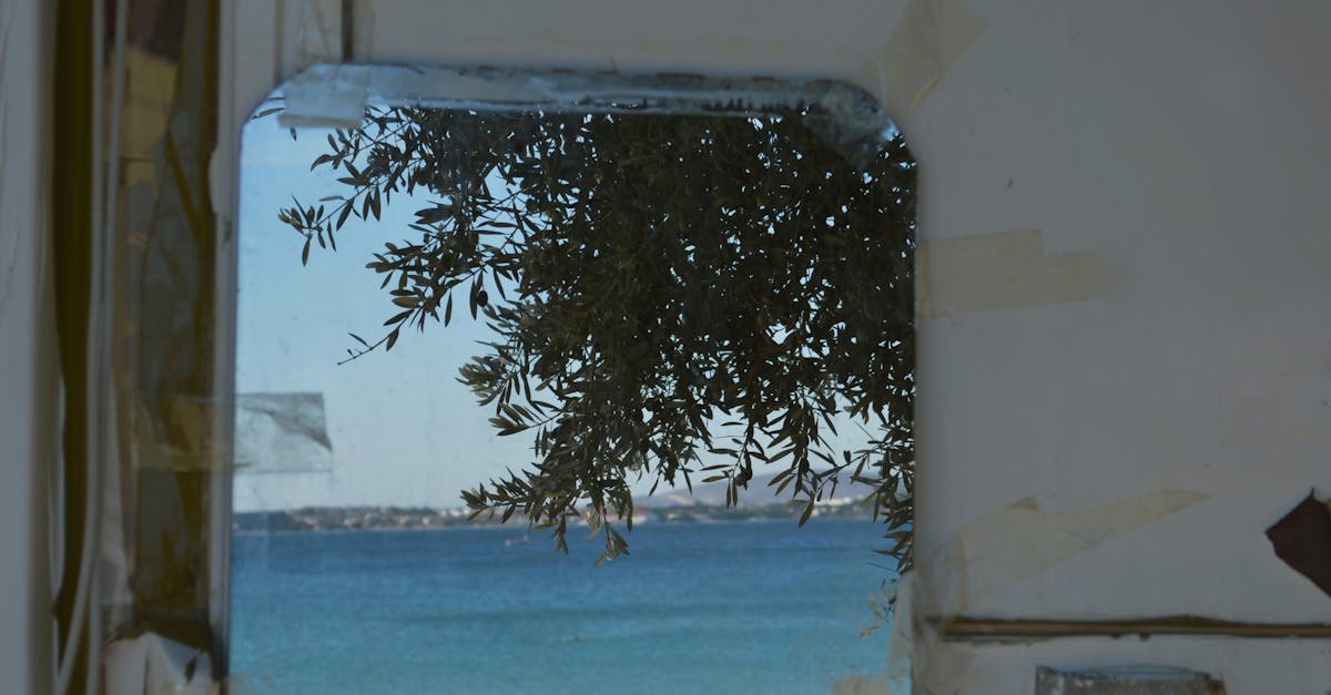 Evaluating Experience in Glass Window Installation Contractors