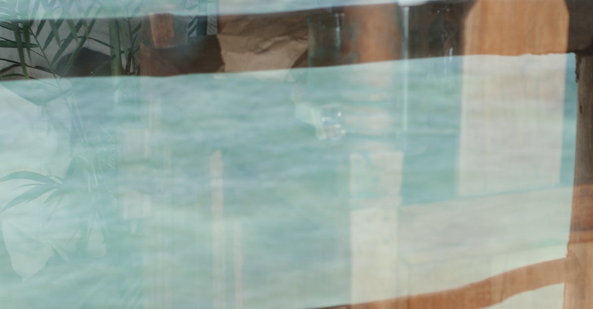 How to Verify Contractor Licenses for Window Installations