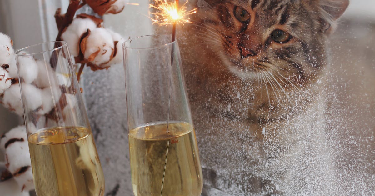 Low-E Glass Windows: A Smart Investment for Homeowners