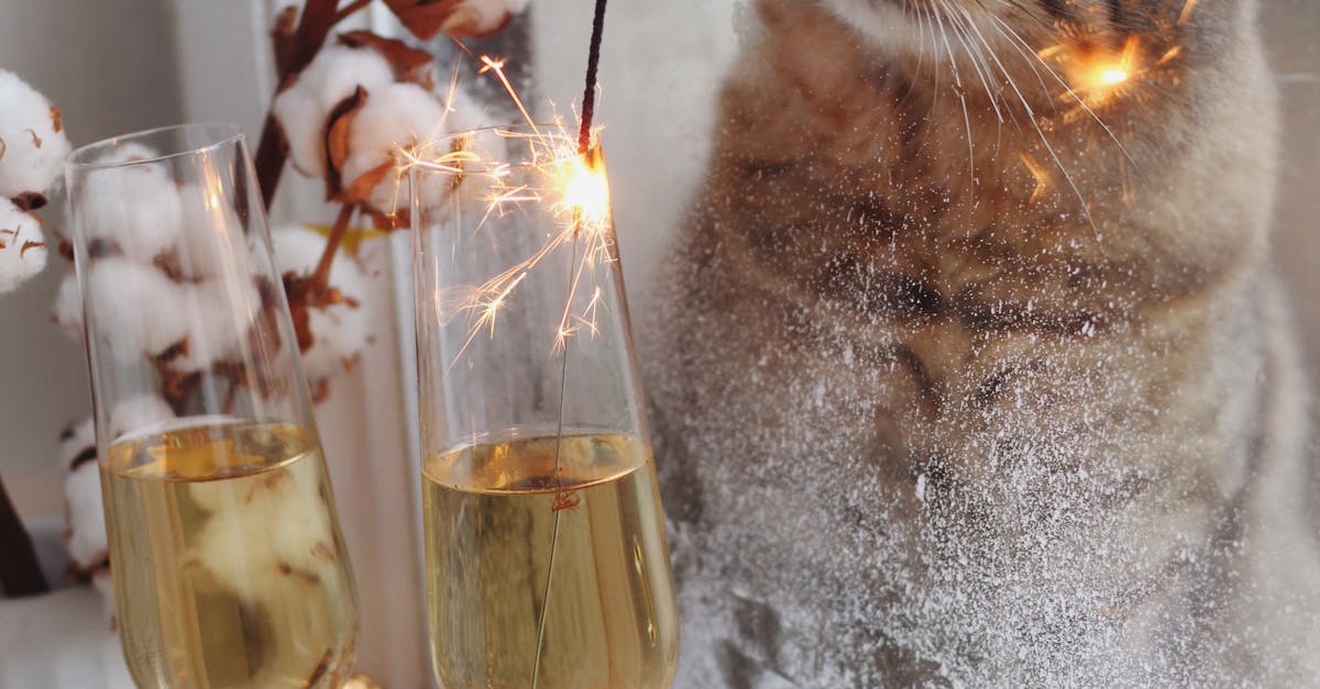 Tempered Glass Windows: Installation Tips for DIY Enthusiasts