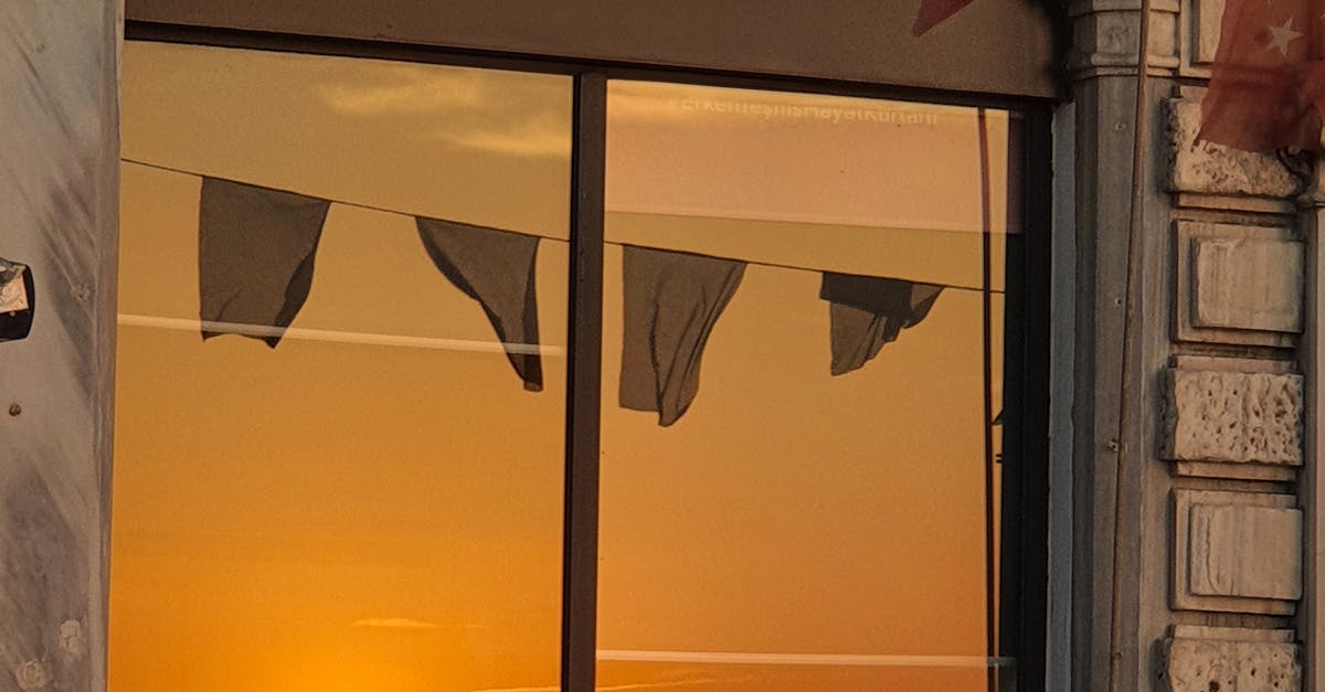 The Role of Insulation in Window Installation Success