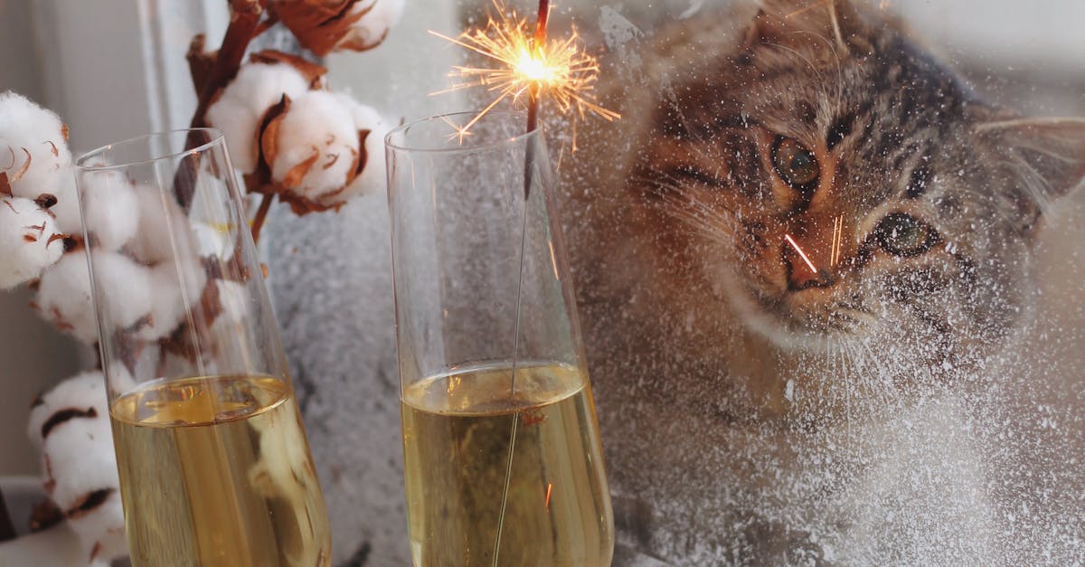 The Role of UV Protection in Glass Window Care