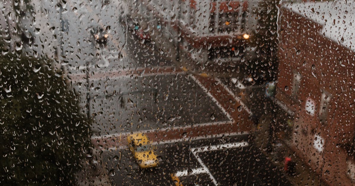 Understanding the Delivery and Service Differences between Local and Online Suppliers